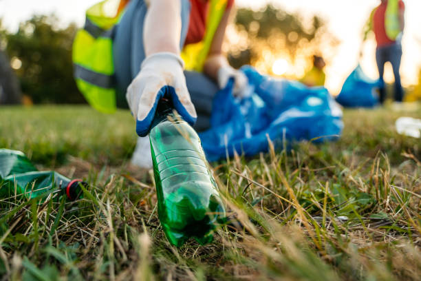 Best Yard Waste Removal  in San Tan Valley, AZ